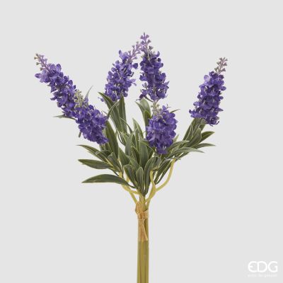 EDG - LAVANDA FIORITA