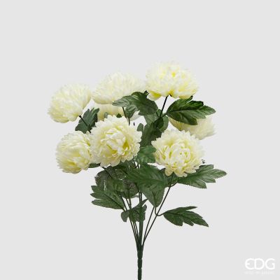 EDG - CRISANTEMO EDEN OLIS AVORIO