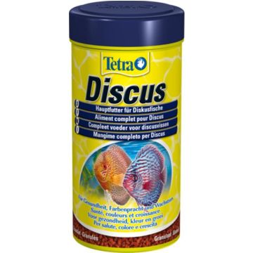 Tetra Discus