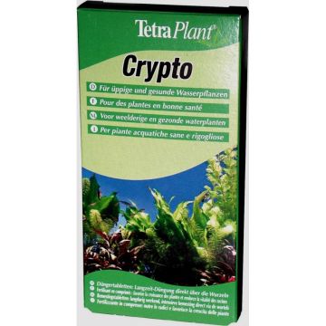 Tetra Crypto