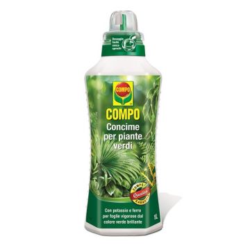 Compo Concime per Piante Verdi 1L