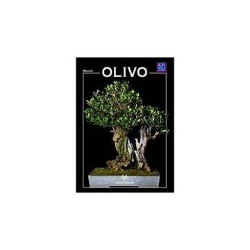 Crespi Bonsai Olivo Miniguida