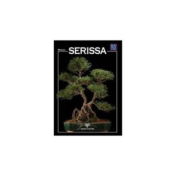 Crespi Bonsai Serissa Miniguida