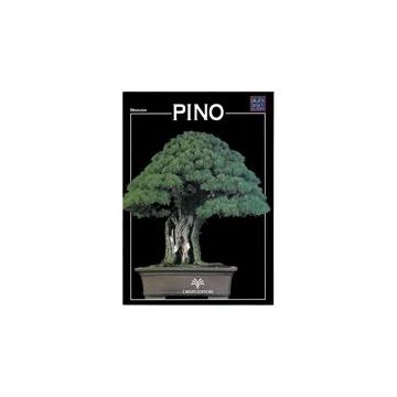 Crespi Bonsai Pino Miniguida