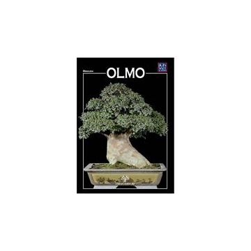 Crespi Bonsai Olmo Miniguida