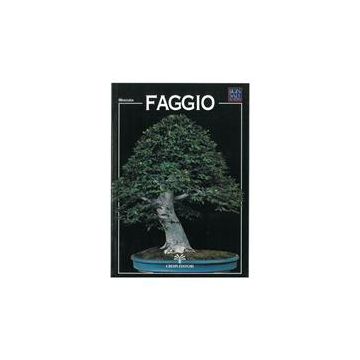 Crespi Bonsai Faggio Miniguida