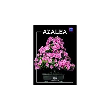 Crespi Bonsai Azalea Miniguida