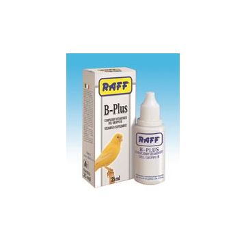Raff B-Plus