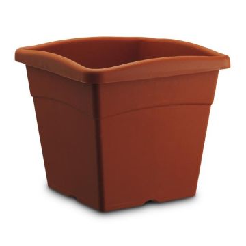Plastecnic Vaso in Plastica Festo