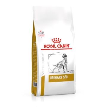 Royal Canin Urinary S/O Cane