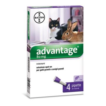 Advantage 80 Antiparassitario per Gatti e Conigli Grandi (+ 4 kg)