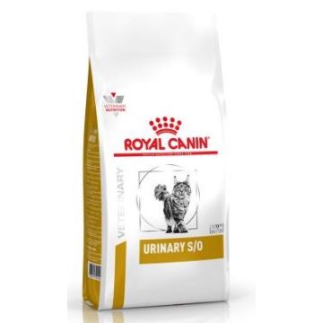 Royal Canin Urinary S/O LP 34 Gatto