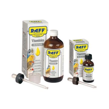 Raff Vitaminico Ravasi 25 ml