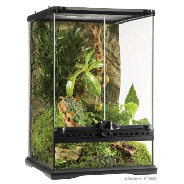 Exo Terra Glass Terrarium