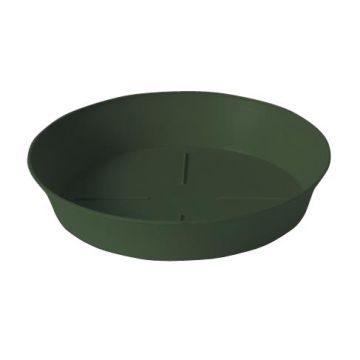 Plastecnic Sottovaso Export in Plastica Verde