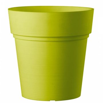 Deroma Vaso Samba 30cm