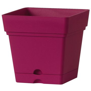 Deroma Vaso Samba Quadro con Riserva Acqua 18cm