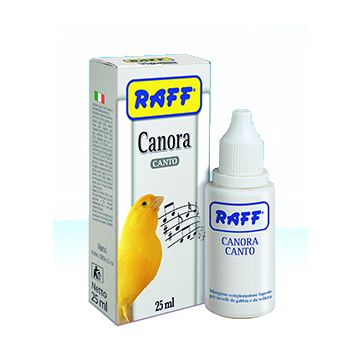 Raff Canora Canto