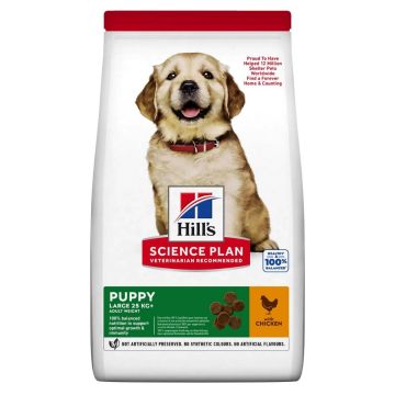 Hill's Science Plan Canine Puppy Healthy Development Large Breed con Pollo