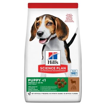 Hill's Science Plan Canine Puppy Healthy Development Medium con Agnello e Riso