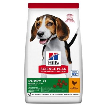 Hill's Science Plan Canine Puppy Healthy Development Medium con Pollo