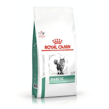 Royal Canin Diabetic Gatto