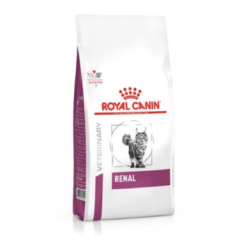 Royal Canin Renal Gatto