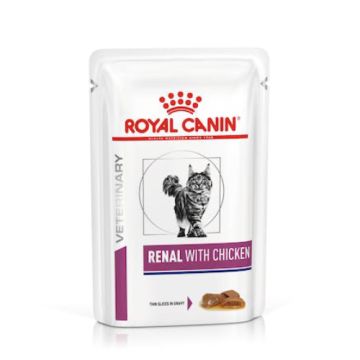 Royal Canin Renal Gatto Busta